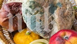 Внимание! Пробутват ни мухлясал салам Стара планина!