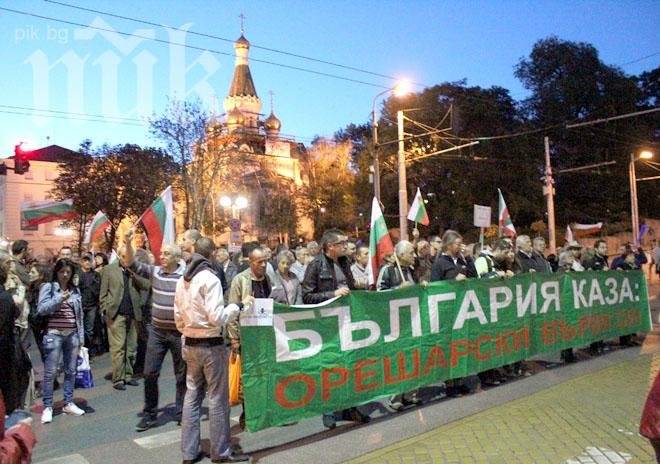 Митове и реалност (Или как се яхат протести)