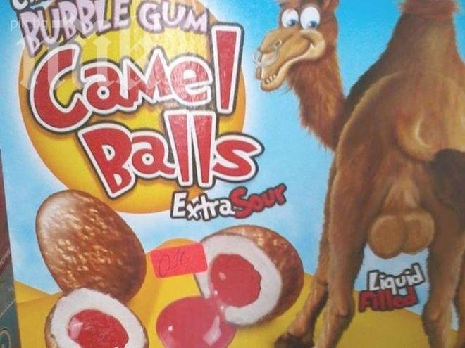 Суперскандал! Огромните тестиси на камила лъснаха на дъвки за деца