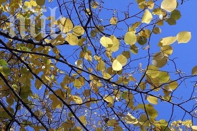 В понеделник – слънчево и леко затопляне