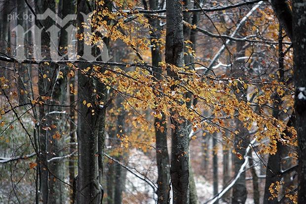 Свръхниски температури измерени през изминалата нощ