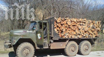 провеждат конкурс добър дървосекач