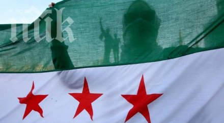 сирия официален член озхо