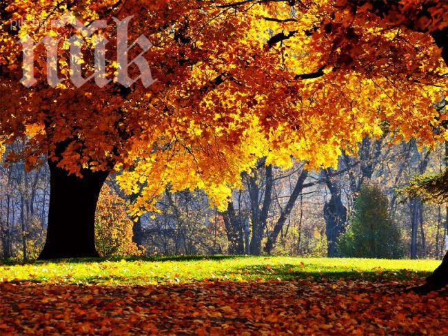 Утре ни очаква топъл есенен ден