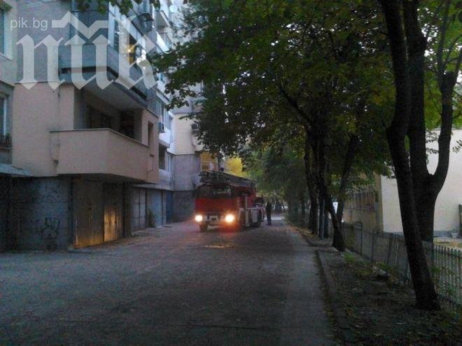 Труп на 68-годишен се разлагал цяла седмица, съседите пищят от смрадта