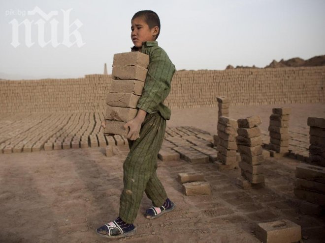 Шпигел: 880 хиляди души в ЕС работят в робски условия