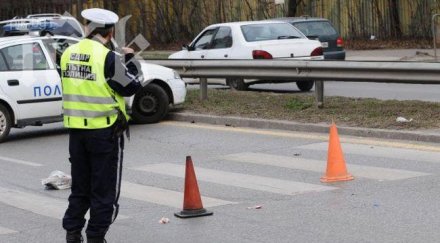 шофьор помете семейство зебра