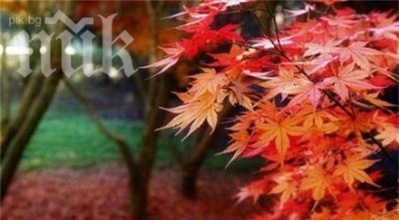 времето облачно топло