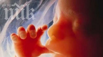 завист секретарка отрови бременните приятелки