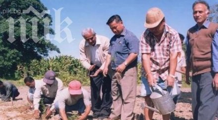 международно изследване 739 българи живеят роби