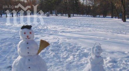 снежният човек бил полярна мечка