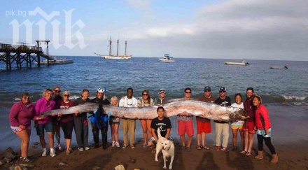 гигантско морско чудовище изплува дълбините океана снимка