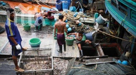 739 живеят роби българия