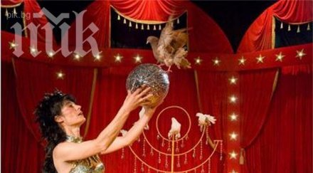 годишна танцува токчета въже софийски цирк сцена
