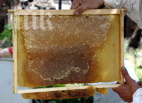 Пчелари излязоха на мълчалив протест