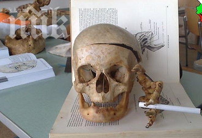 Череп на 2 млн. години обърка теорията за еволюцията