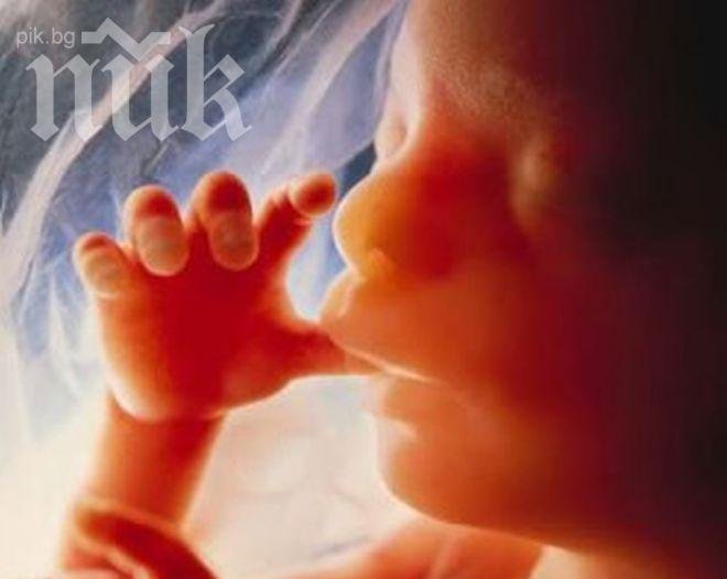 Завист! Секретарка отрови бременните си приятелки