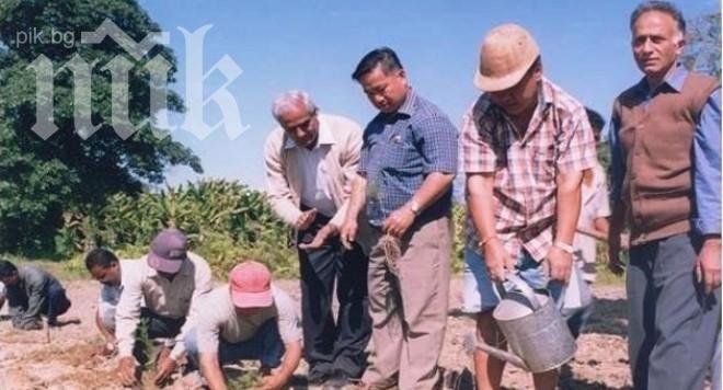 Международно изследване: 27 739 българи живеят като роби