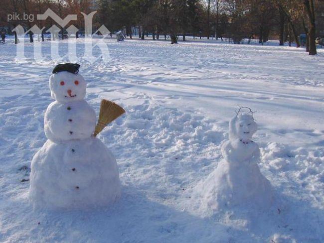 Снежният човек бил полярна мечка
