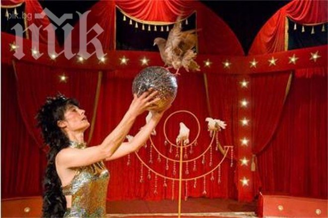 18-годишна танцува с токчета на въже в Софийски цирк на сцена 