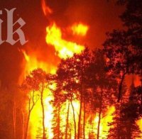 Извънредно положение в Австралия заради пожарите