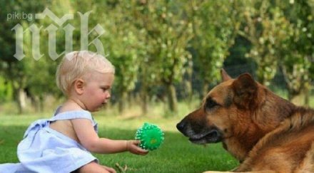децата разбират езика кучетата