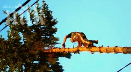 пиян качи метров бор падна загина