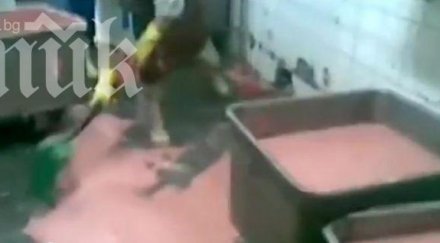 вижте прави салам повече вкусите потресаващо видео