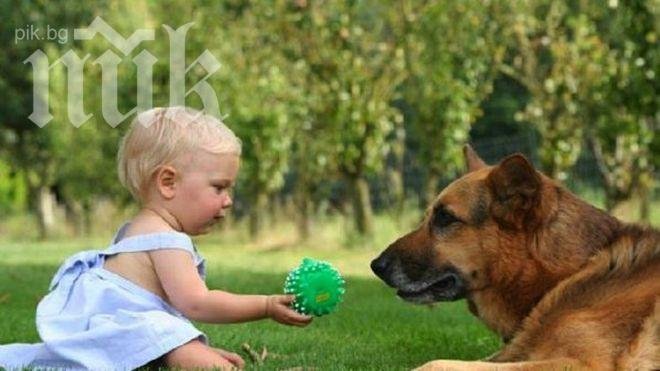 Децата разбират езика на кучетата