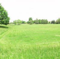 Родител преби съдия след Локо Сф - Интернационал