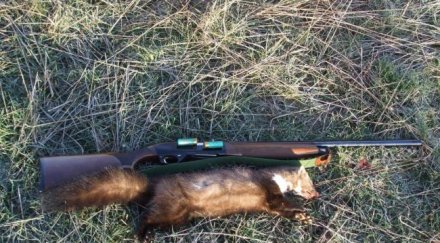 авджия загина време лов