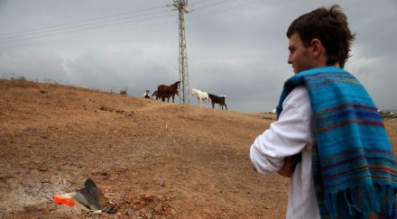 израел стреля предупредилно няколко сирия