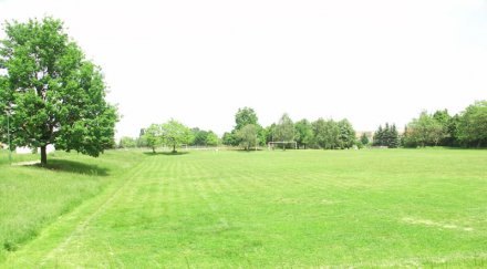 родител преби съдия локо интернационал