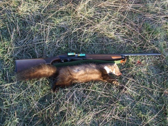 Авджия загина по време на лов