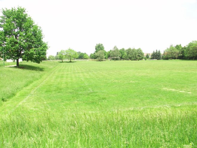 Родител преби съдия след Локо Сф - Интернационал