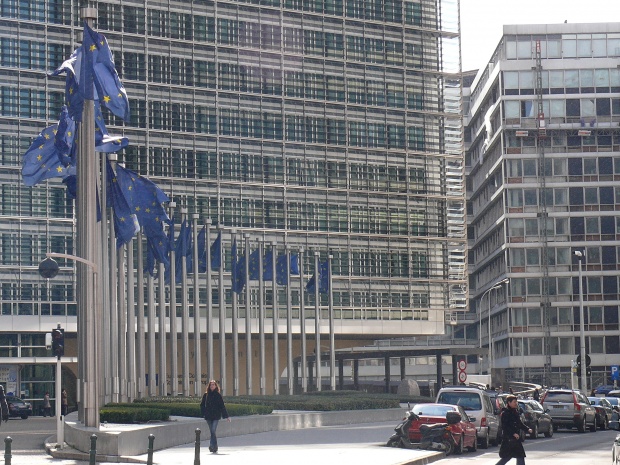 ЕС: Смъртта на Сатар Бехешти е съмнителна