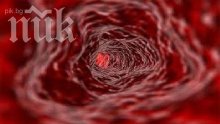Кръвта - питие за вампири
