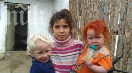 генетик пик русо дете роми рецесивните гени виновни