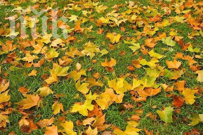 Утре пак ще е слънчево и топло