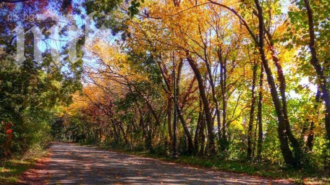В четвъртък времето остава без промяна – циганско лято
