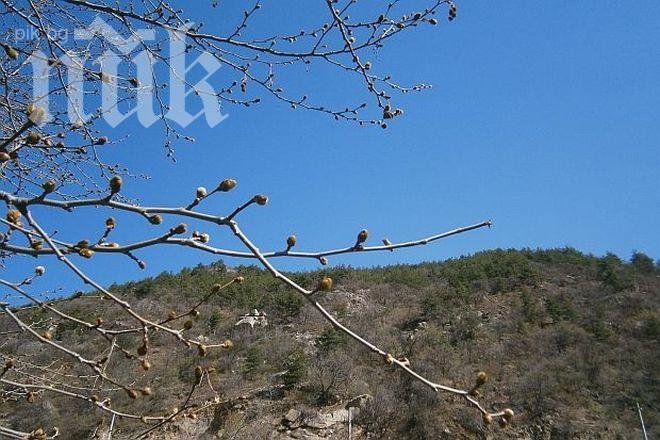 В петък пак ще е слънчево и топло