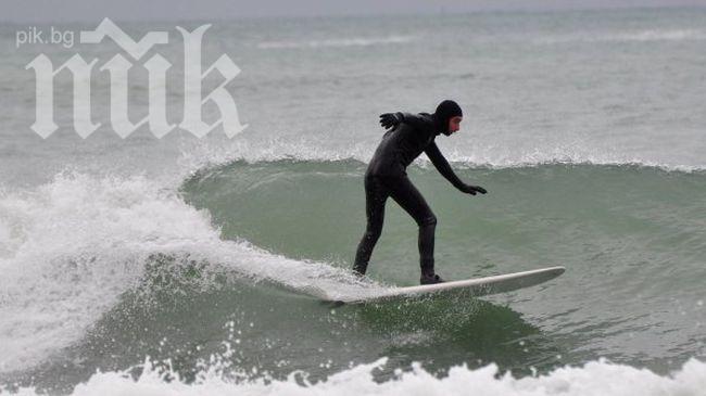 Сърфист нокаутира акула