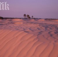 35 души загинали от жажда в Сахара