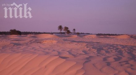 души загинали жажда сахара