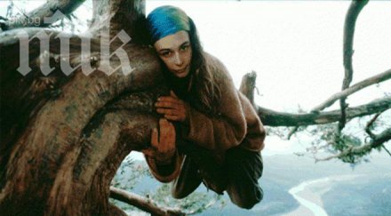 природозащитничка живя 738 дни дърво