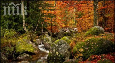 есенна жега рожен синоптиците регистрираха температурен рекорд