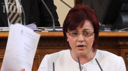 нинова намалете субсидиите партиите