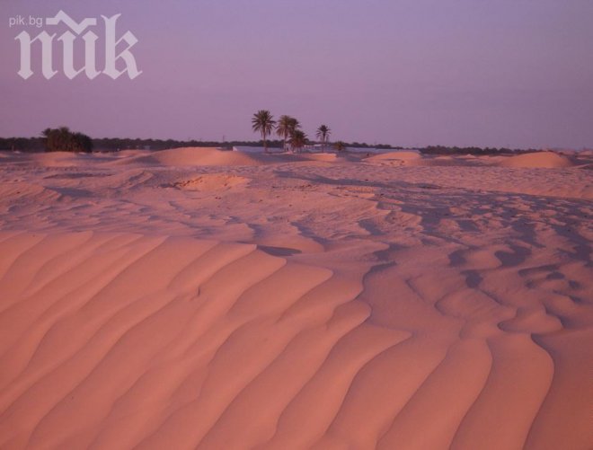 35 души загинали от жажда в Сахара