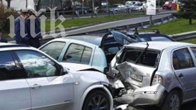 Първо в ПИК! Жестока верижна катастрофа на входа на столичния зоопарк блокира София