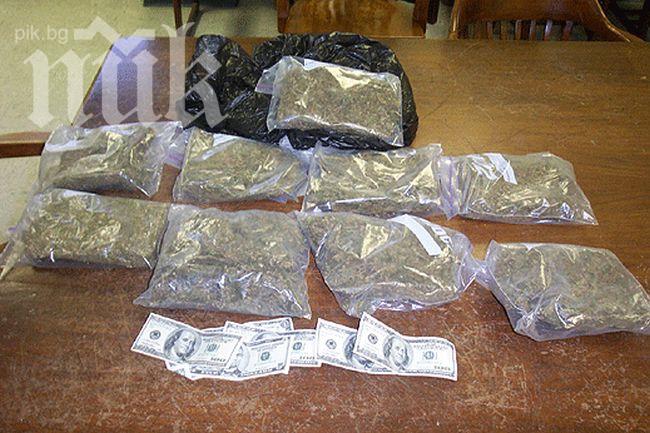 Иззеха 14 кг марихуана от наркостопанство